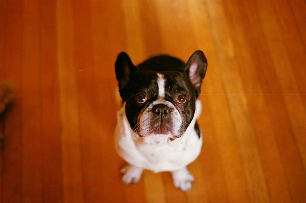 kaylita-cee-IVr8M-NE5FQ-unsplash